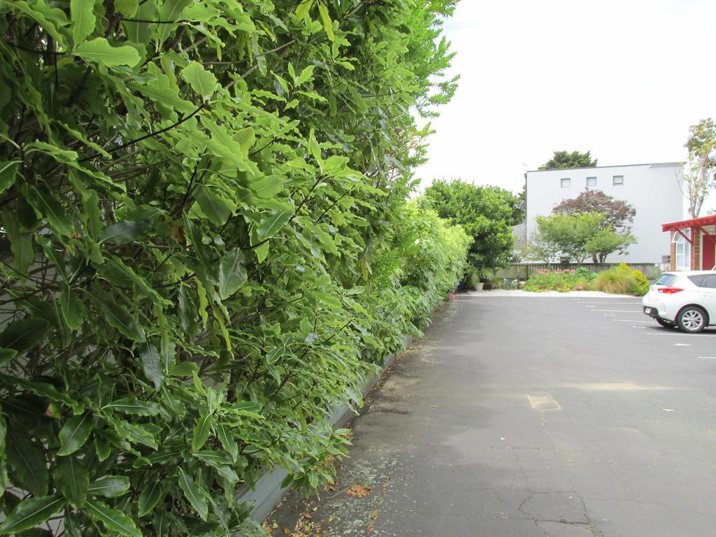 Dilworth Motel Auckland Exterior foto
